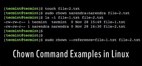 Chown Command in Linux: How to Change File .